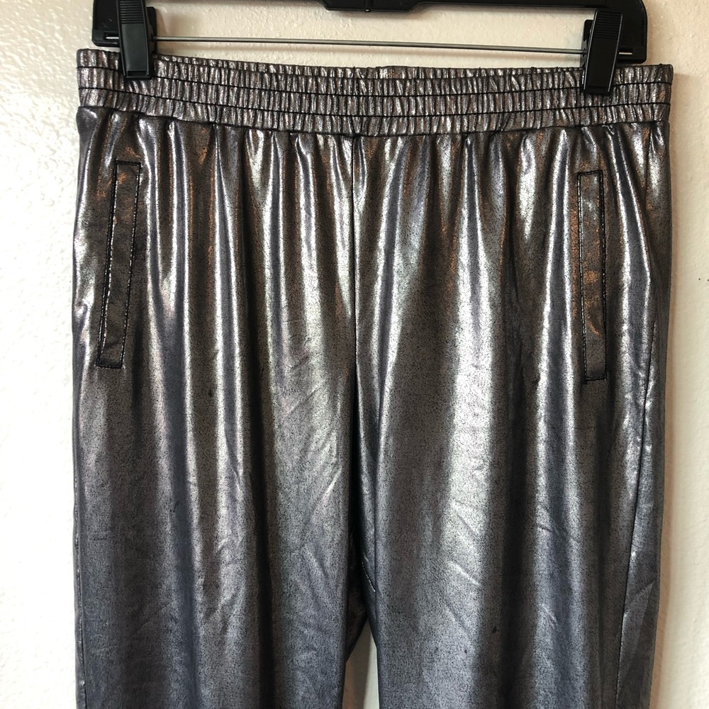Urban Outfitters Retro Silver Pant